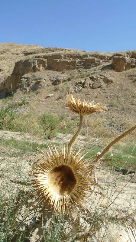 ... ����� �����������  �� PhotoGeek.ru #��������