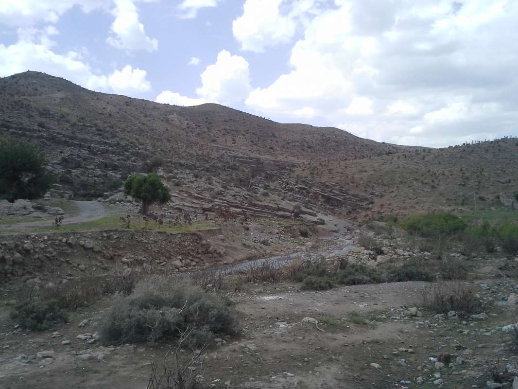 ... ����� �����������  �� PhotoGeek.ru #��������