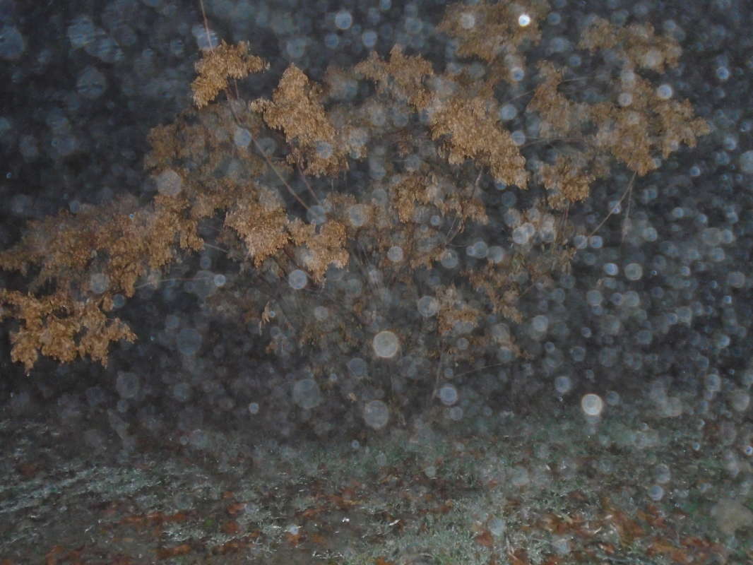 ... ����� �����������  �� PhotoGeek.ru #��������