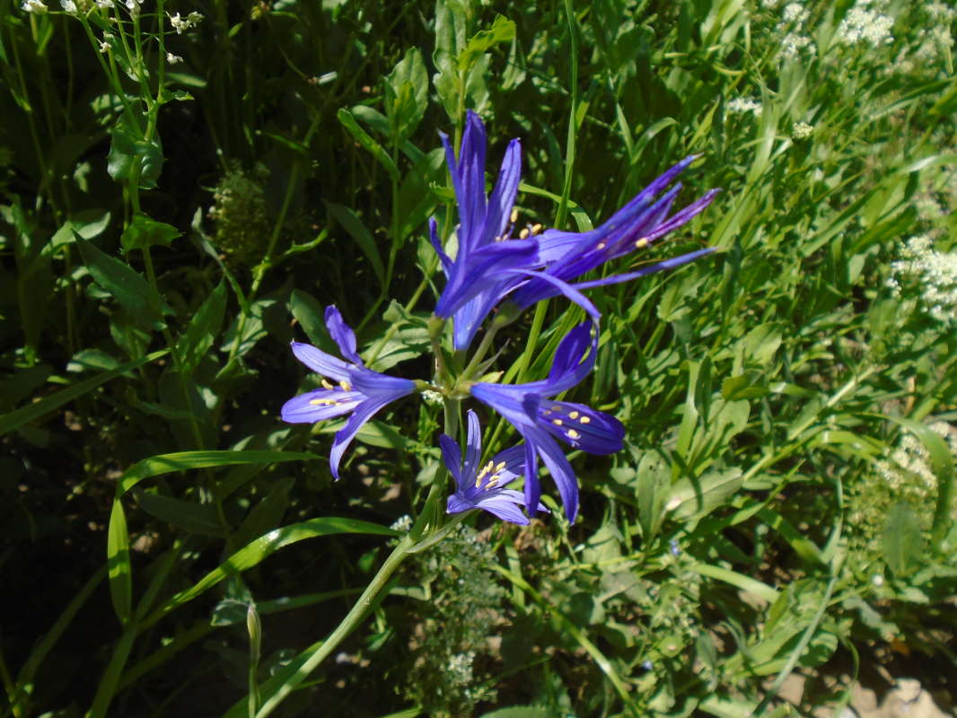 ... ����� �����������  �� PhotoGeek.ru #��������