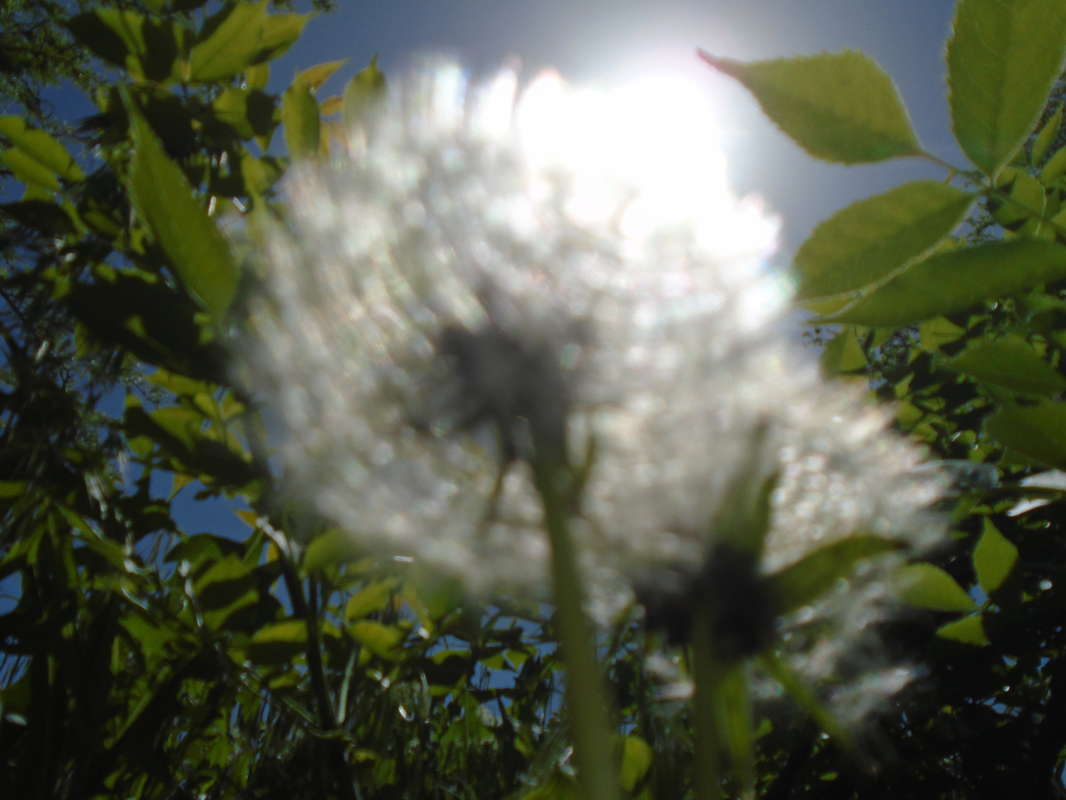 ������... ����� �����������  �� PhotoGeek.ru #��������