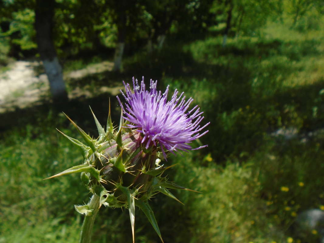 ������� �������... ����� �����������  �� PhotoGeek.ru #��������