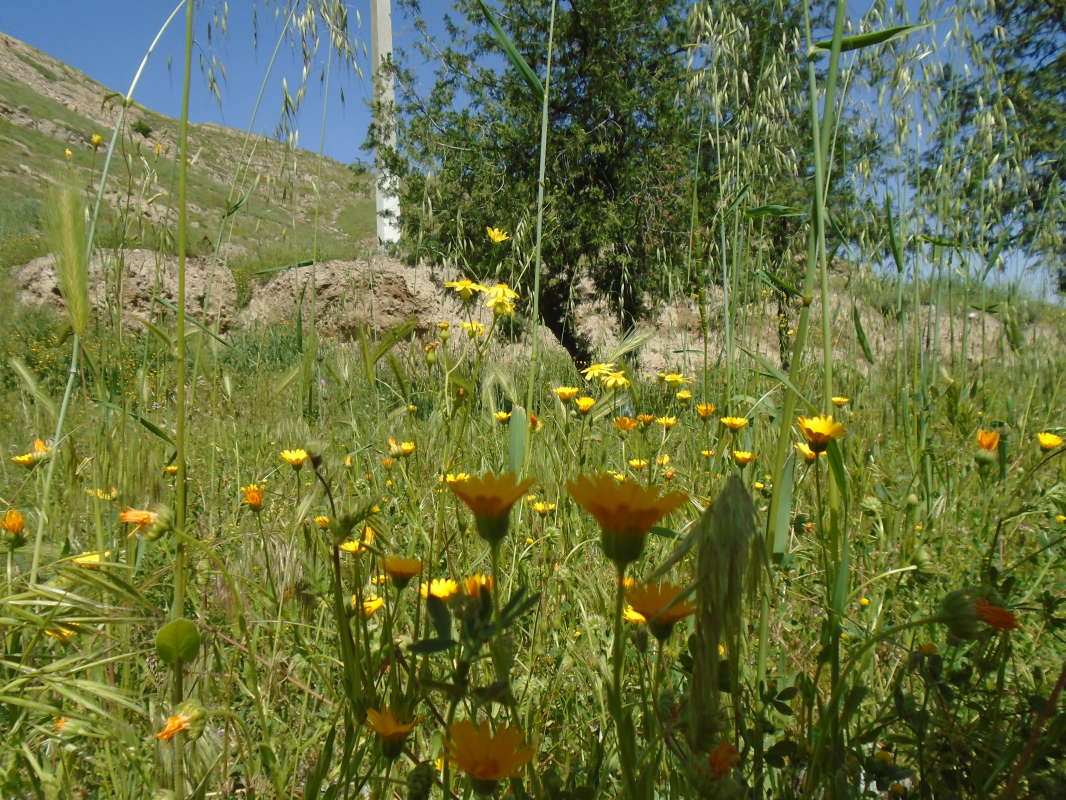 ���������... ����� �����������  �� PhotoGeek.ru #��������