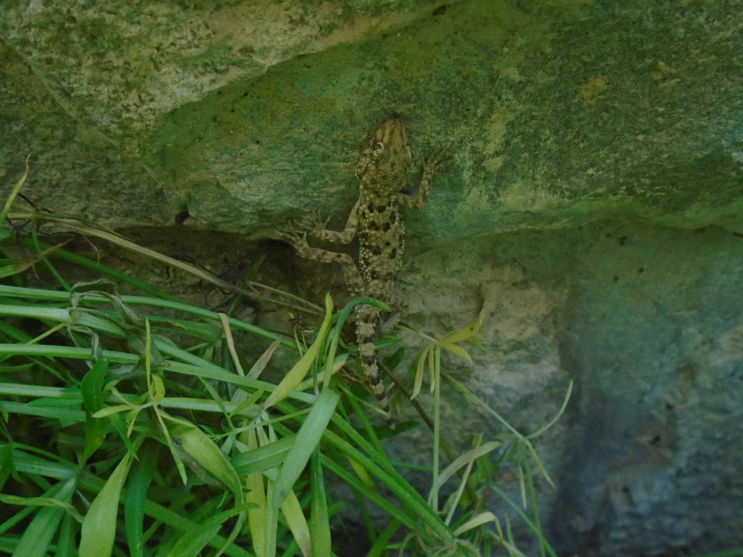 ������ ������ ���������... ����� �����������  �� PhotoGeek.ru #��������