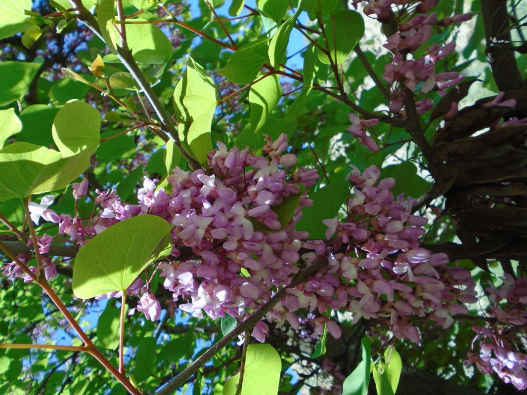 ...... ����� �����������  �� PhotoGeek.ru #��������