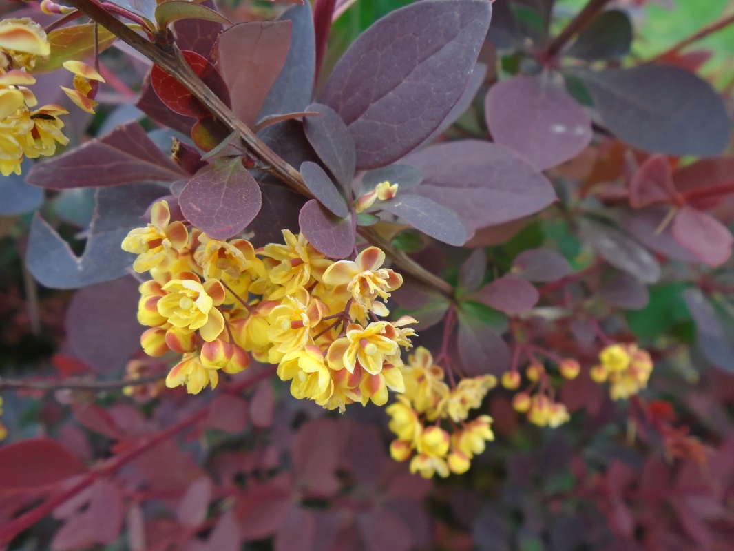 ... ����� �����������  �� PhotoGeek.ru #��������