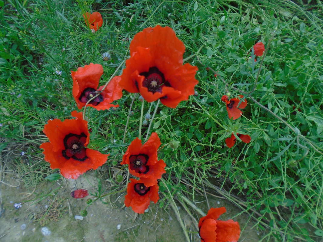 �������... ����� �����������  �� PhotoGeek.ru #��������