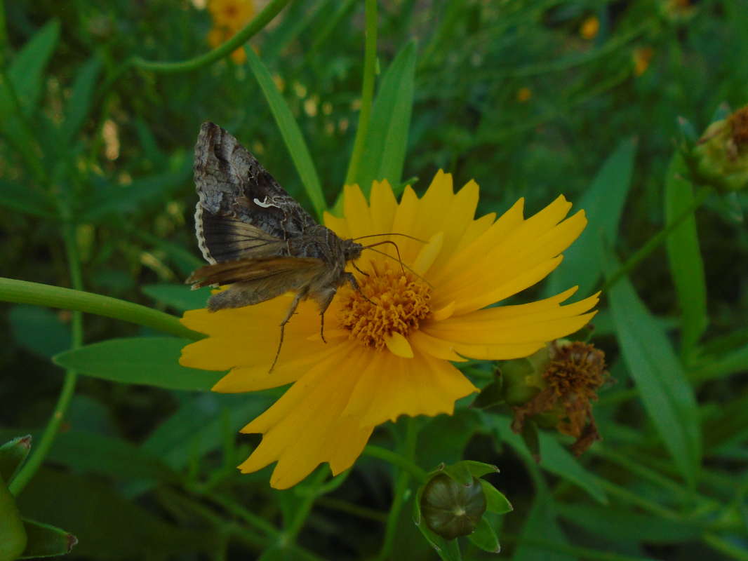 �������... ����� �����������  �� PhotoGeek.ru #��������