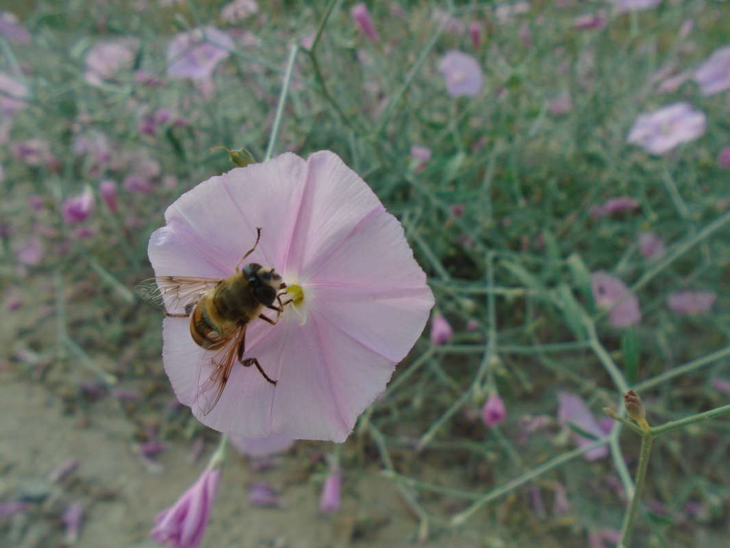 ������... ����� �����������  �� PhotoGeek.ru #��������