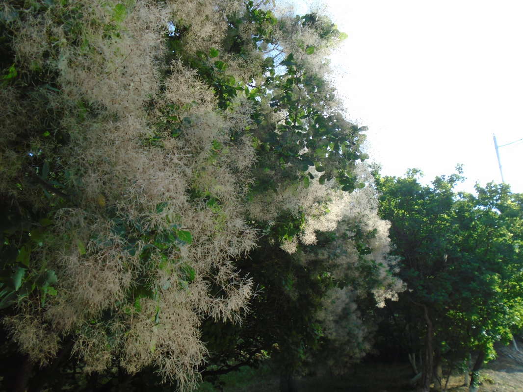 ������� - ������ ����... ����� �����������  �� PhotoGeek.ru #��������