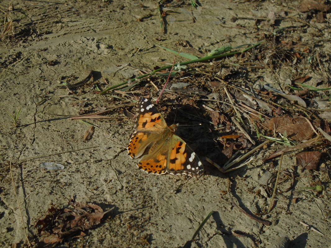 �� ������ �����... ����� �����������  �� PhotoGeek.ru #��������