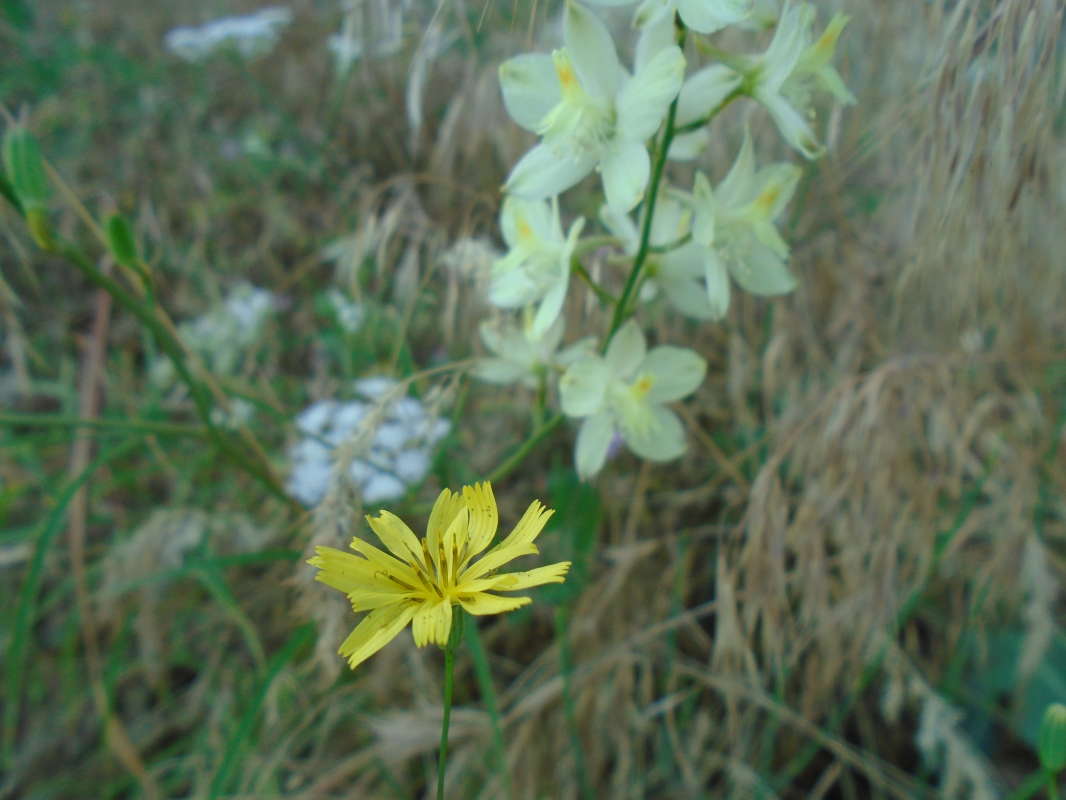 �������... ����� �����������  �� PhotoGeek.ru #��������