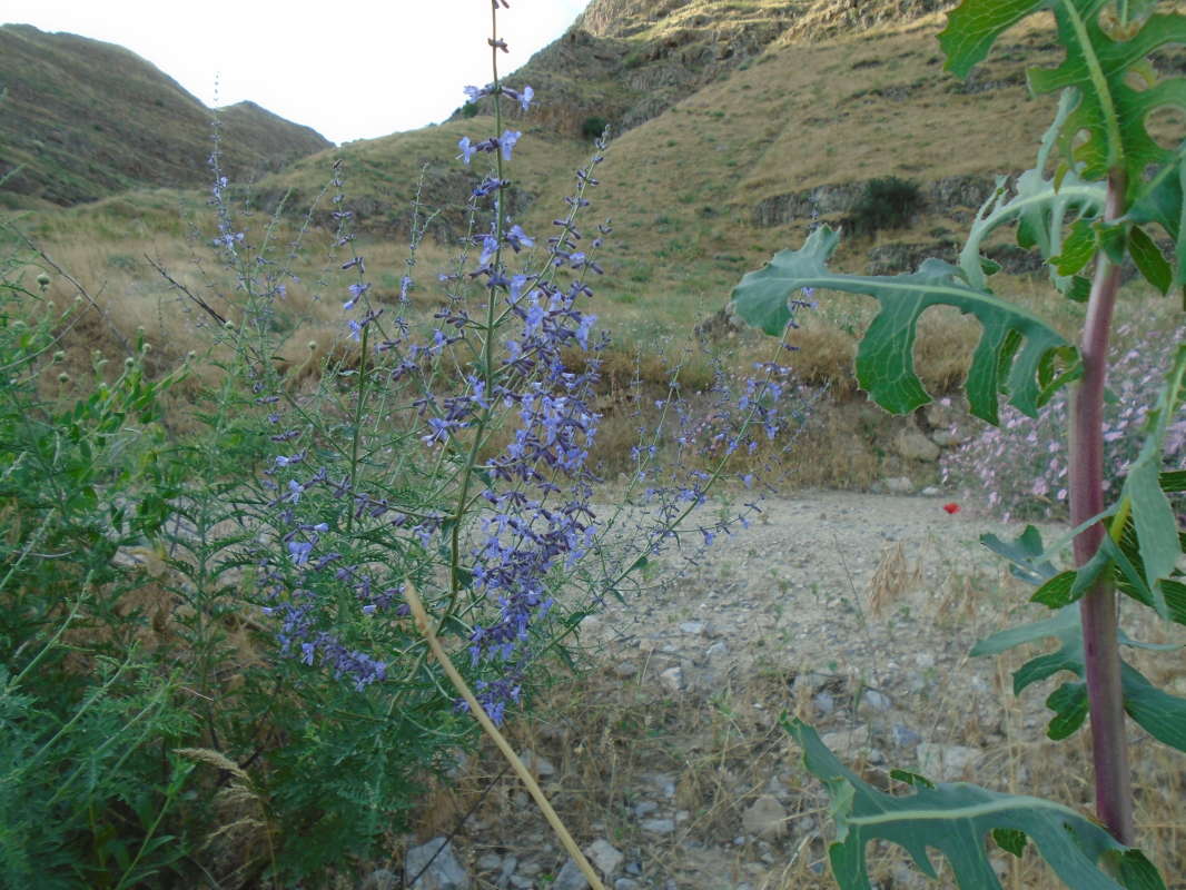 ������� ������... ����� �����������  �� PhotoGeek.ru #��������