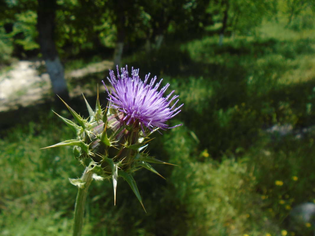 ���������� � ������... ����� �����������  �� PhotoGeek.ru #��������