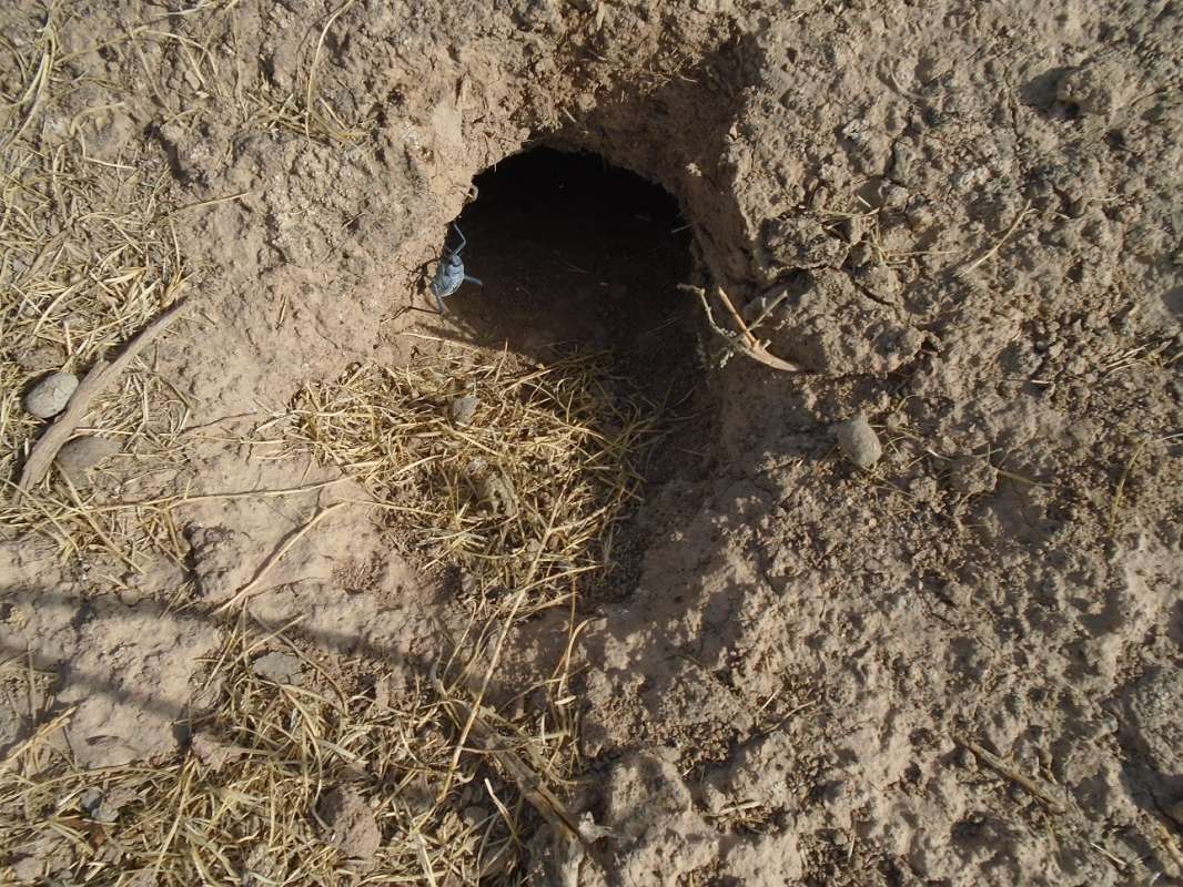 ������� ��� � ����� ����... ����� �����������  �� PhotoGeek.ru #��������