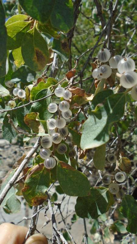 ��������... ����� �����������  �� PhotoGeek.ru #��������