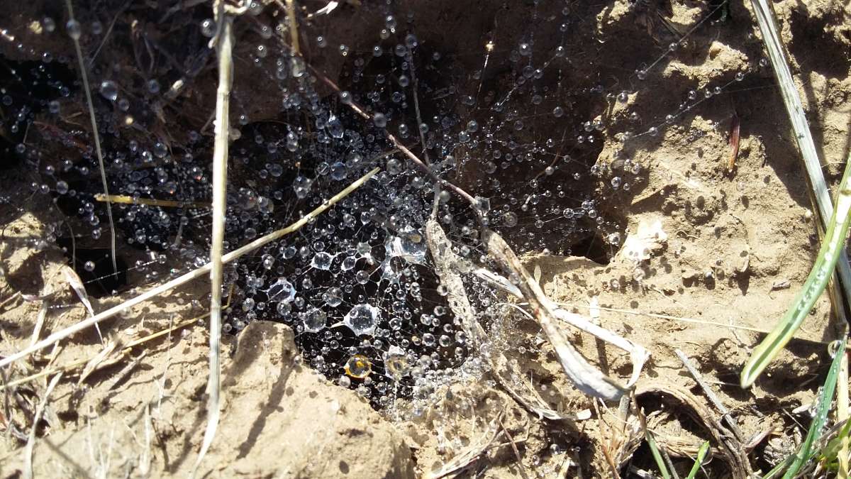 ... ����� �����������  �� PhotoGeek.ru #��������