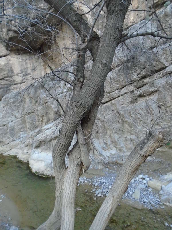 �����... ����� �����������  �� PhotoGeek.ru #��������