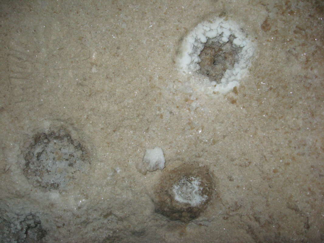 ���� ��������� � ������ �� �������� - ������.... ����� �����������  �� PhotoGeek.ru #��������