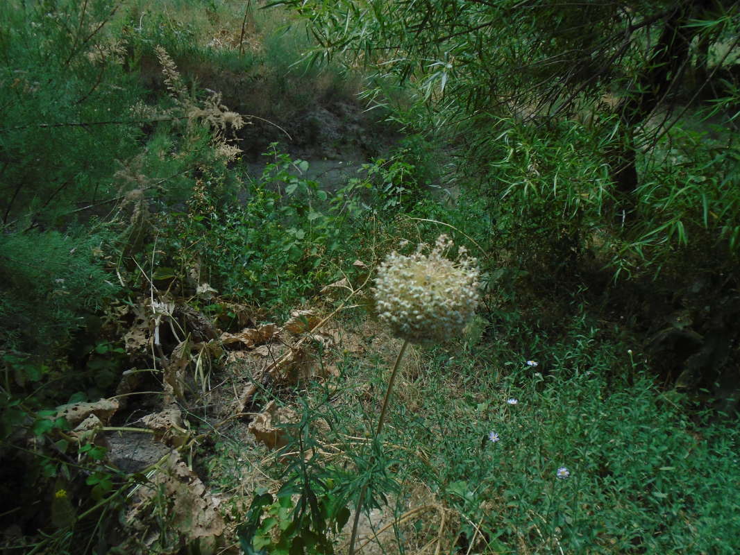 ����� ���... ����� �����������  �� PhotoGeek.ru #��������