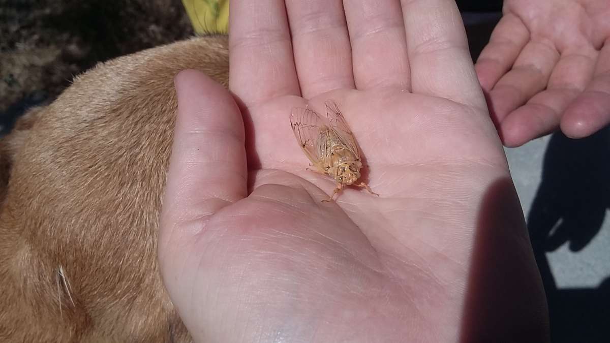 ������... ����� �����������  �� PhotoGeek.ru #��������