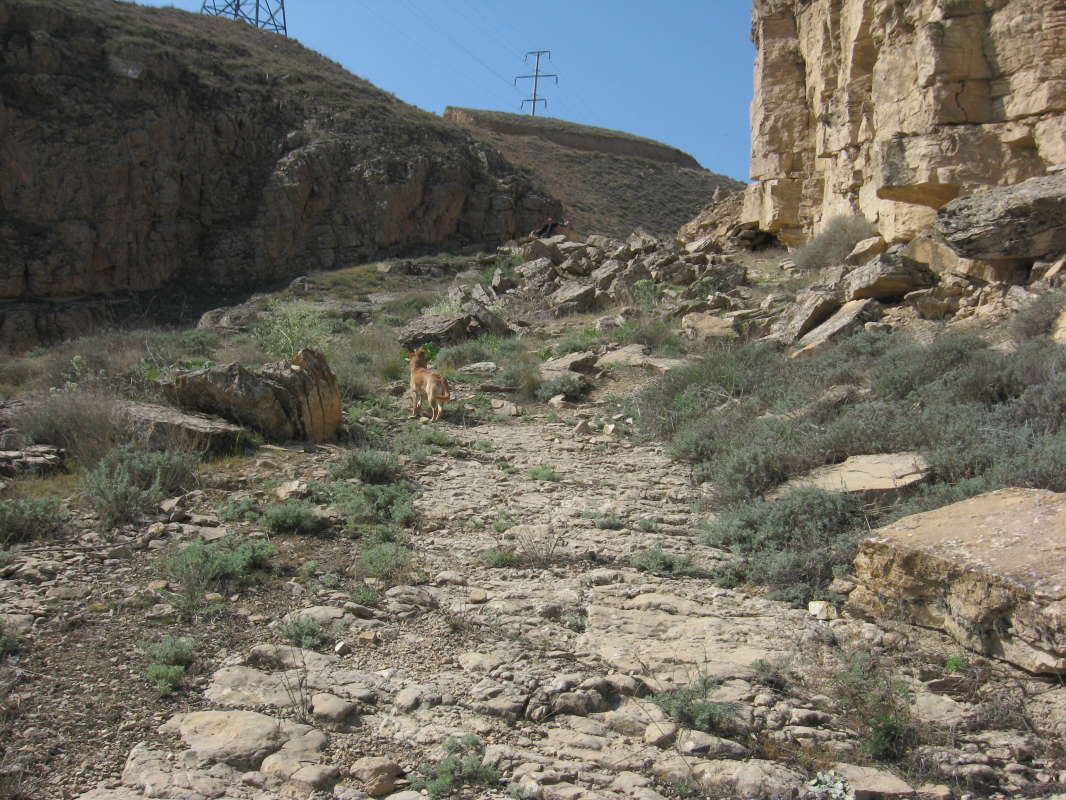 ��� ���������� ����� ������������... ��� ������ ���������� � ����� ������� ��� �������... ����� �����������  �� PhotoGeek.ru #��������