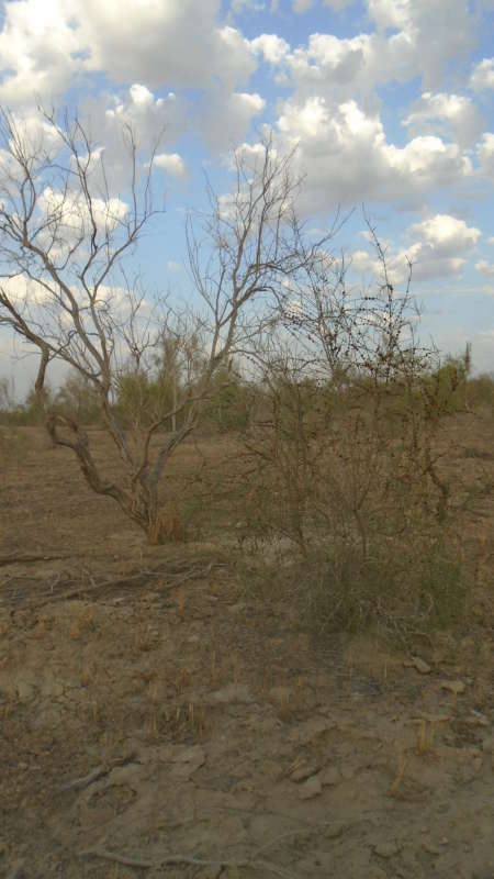 ������� �����������... ����� �����������  �� PhotoGeek.ru #��������