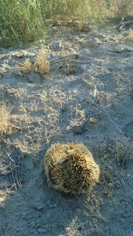 ��� ����... ����� �����������  �� PhotoGeek.ru #��������