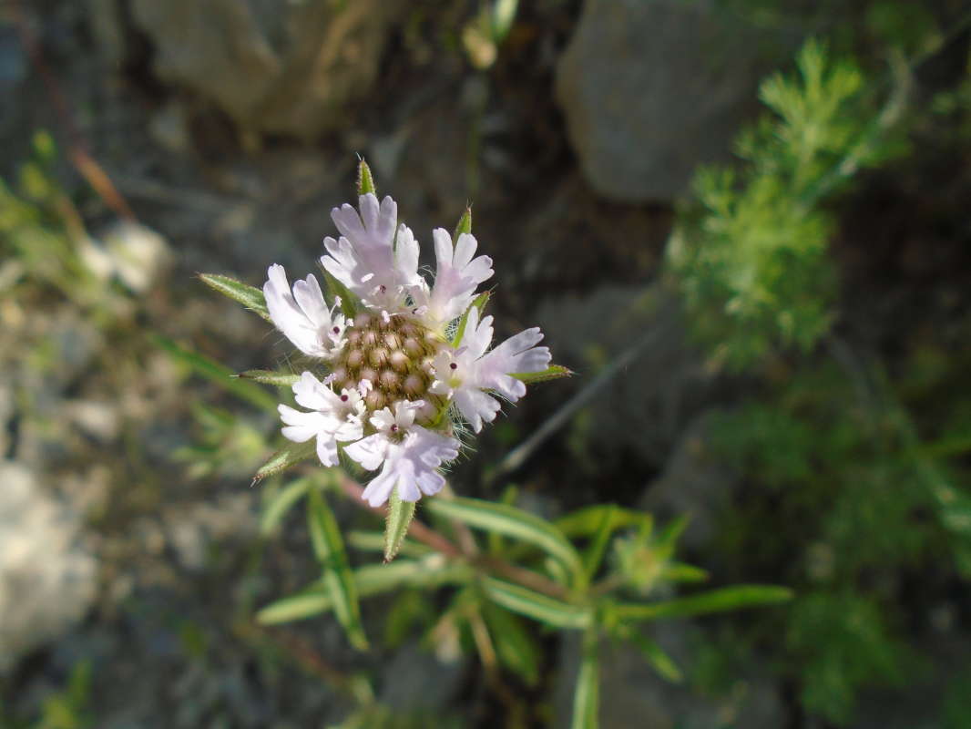 ... ����� �����������  �� PhotoGeek.ru #��������