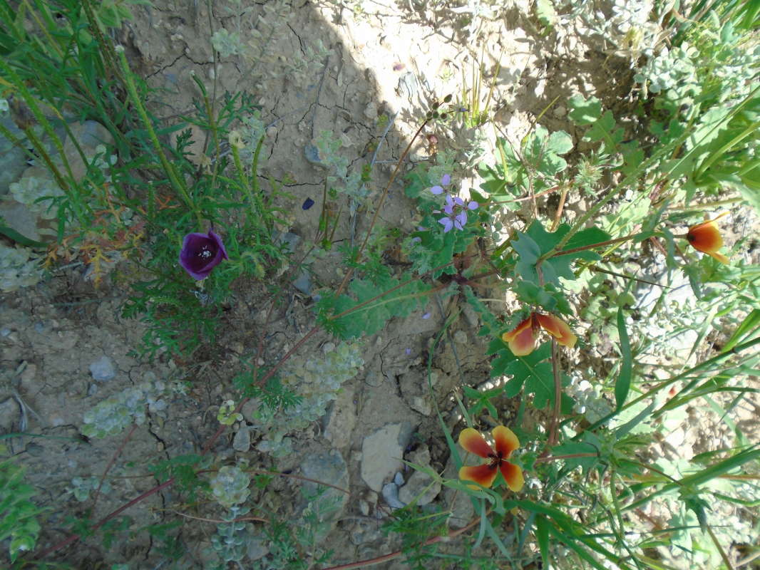 ... ����� �����������  �� PhotoGeek.ru #��������