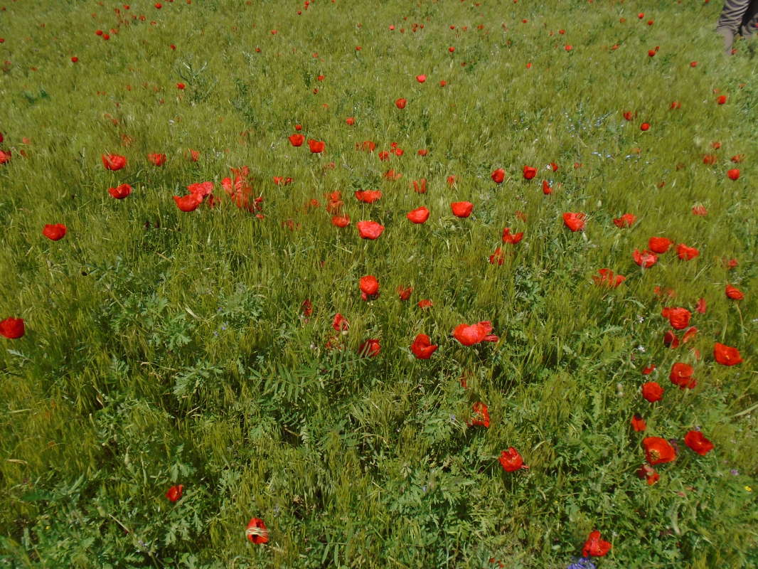 ����... ����� �����������  �� PhotoGeek.ru #��������