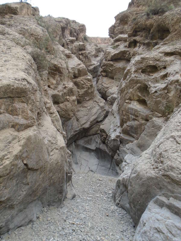 ������... ����� �����������  �� PhotoGeek.ru #��������