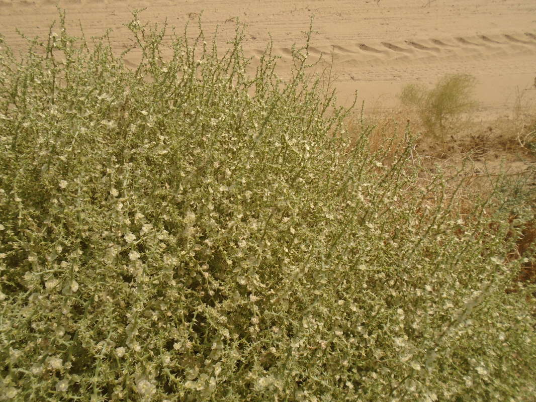 ����.. ����� �����������  �� PhotoGeek.ru #��������