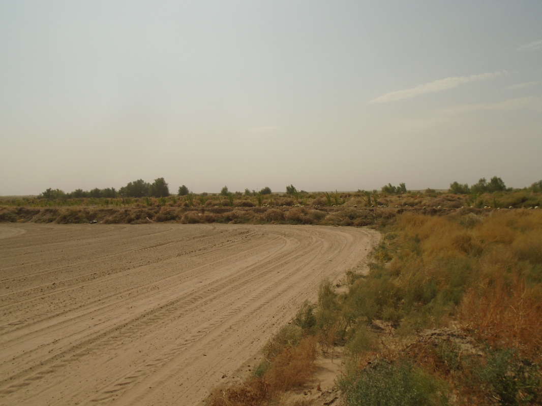 ������ ����... ����� �����������  �� PhotoGeek.ru #��������