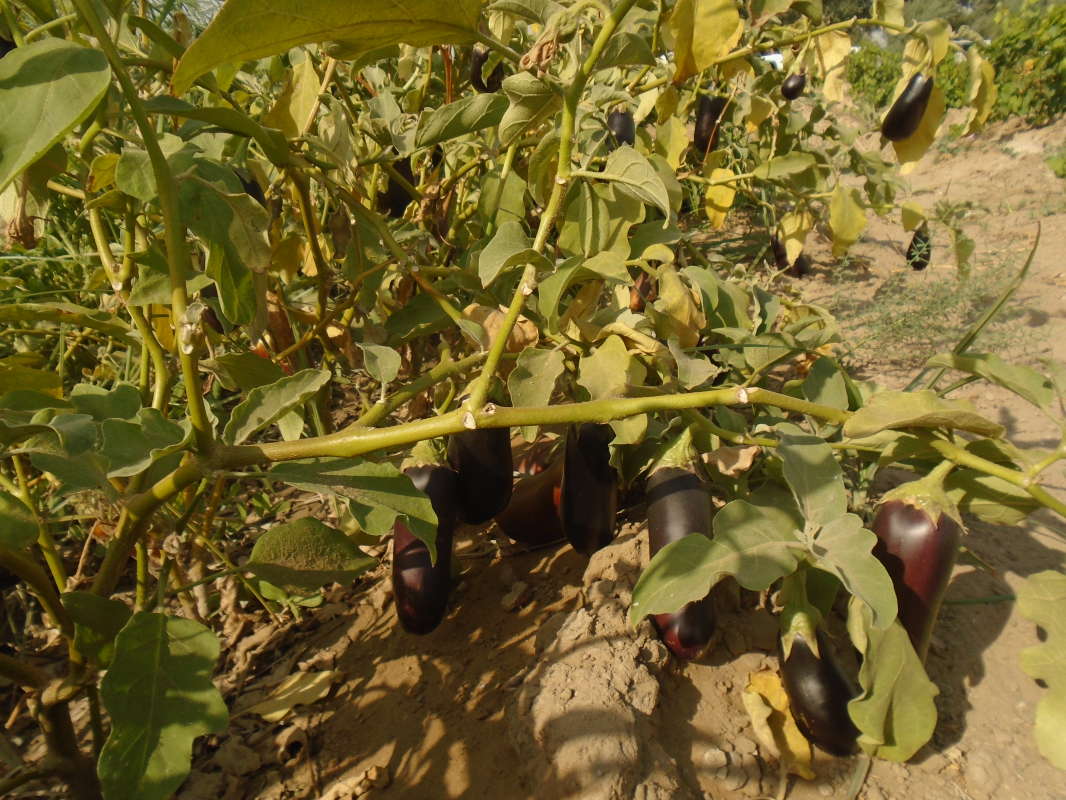 ������������... ����� �����������  �� PhotoGeek.ru #��������