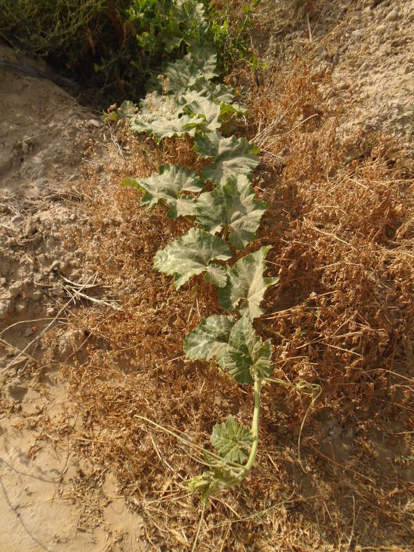 ... ����� �����������  �� PhotoGeek.ru #��������