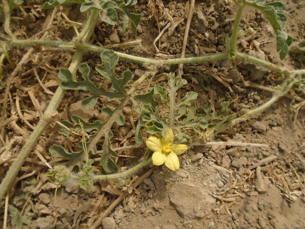 ... ����� �����������  �� PhotoGeek.ru #��������