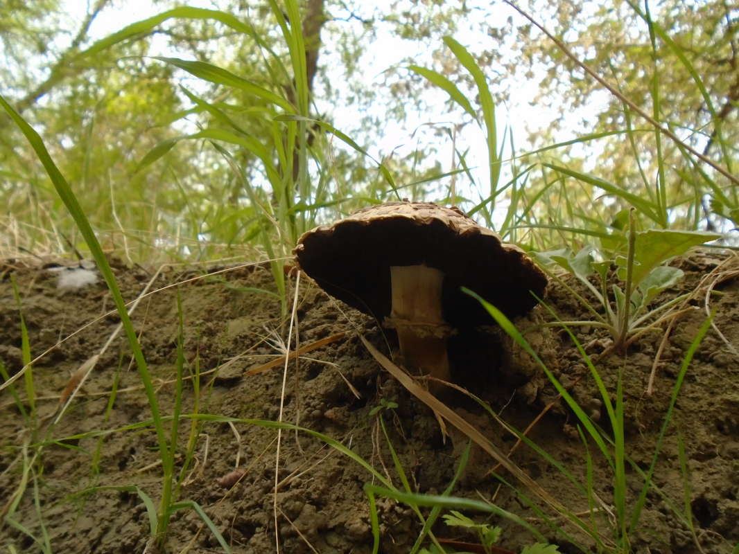 ����� ����� �����... ����� �����������  �� PhotoGeek.ru #��������