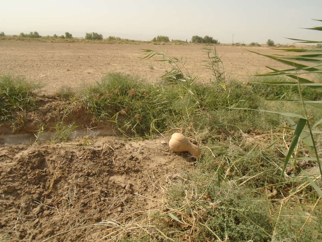 �������� �������... ����� �����������  �� PhotoGeek.ru #��������