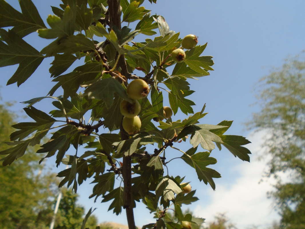 ����� ���������... ����� �����������  �� PhotoGeek.ru #��������