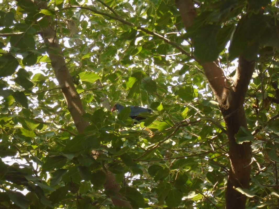 ����� �� �����... ����� �����������  �� PhotoGeek.ru #��������