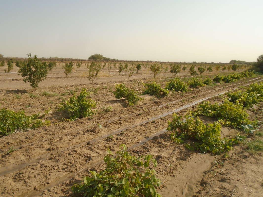 ����� �� �����... ����� �����������  �� PhotoGeek.ru #��������