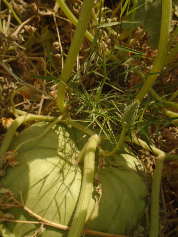 ... ����� �����������  �� PhotoGeek.ru #��������