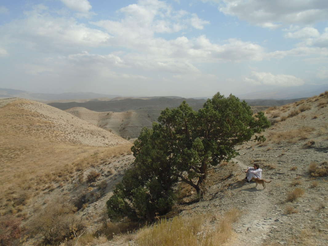 ��� �����... ����� �����������  �� PhotoGeek.ru #��������