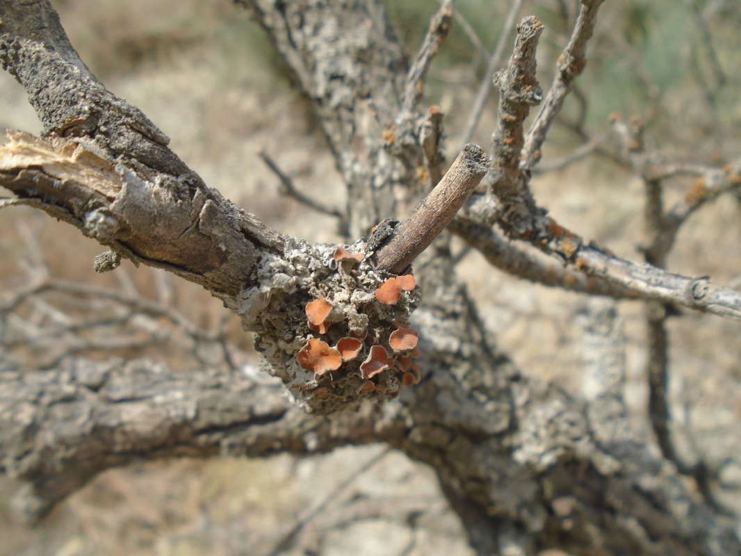 �������... ����� �����������  �� PhotoGeek.ru #��������