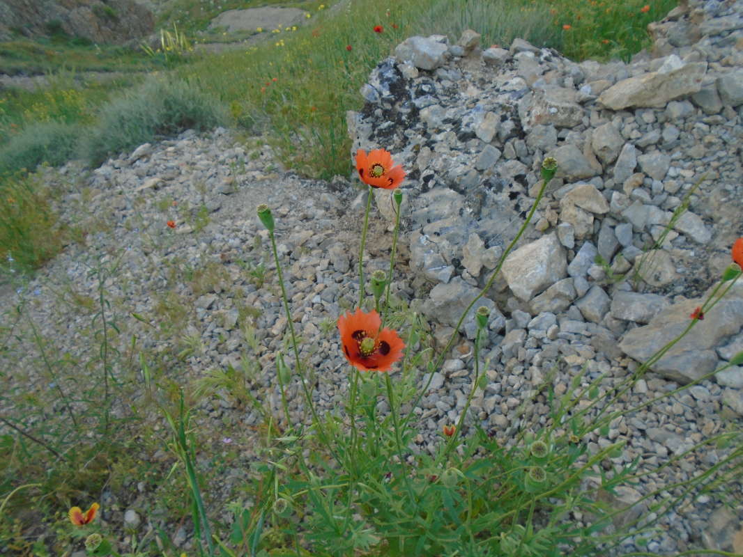 ... ����� �����������  �� PhotoGeek.ru #��������