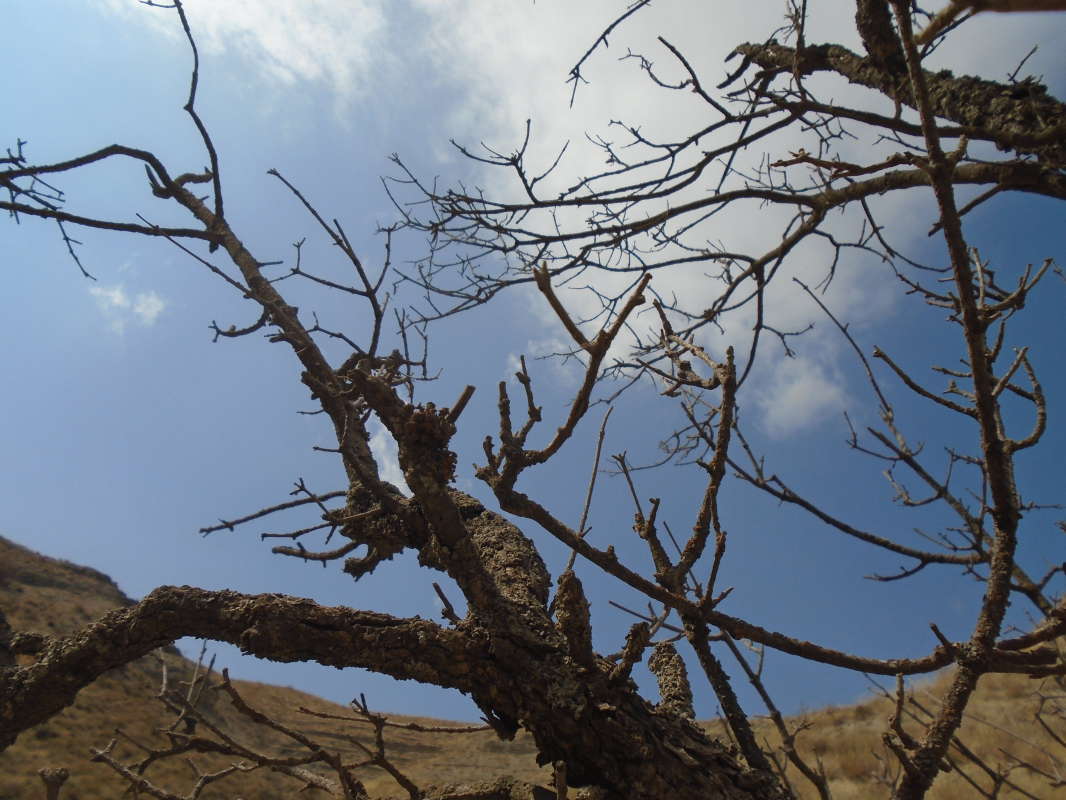 ... ����� �����������  �� PhotoGeek.ru #��������