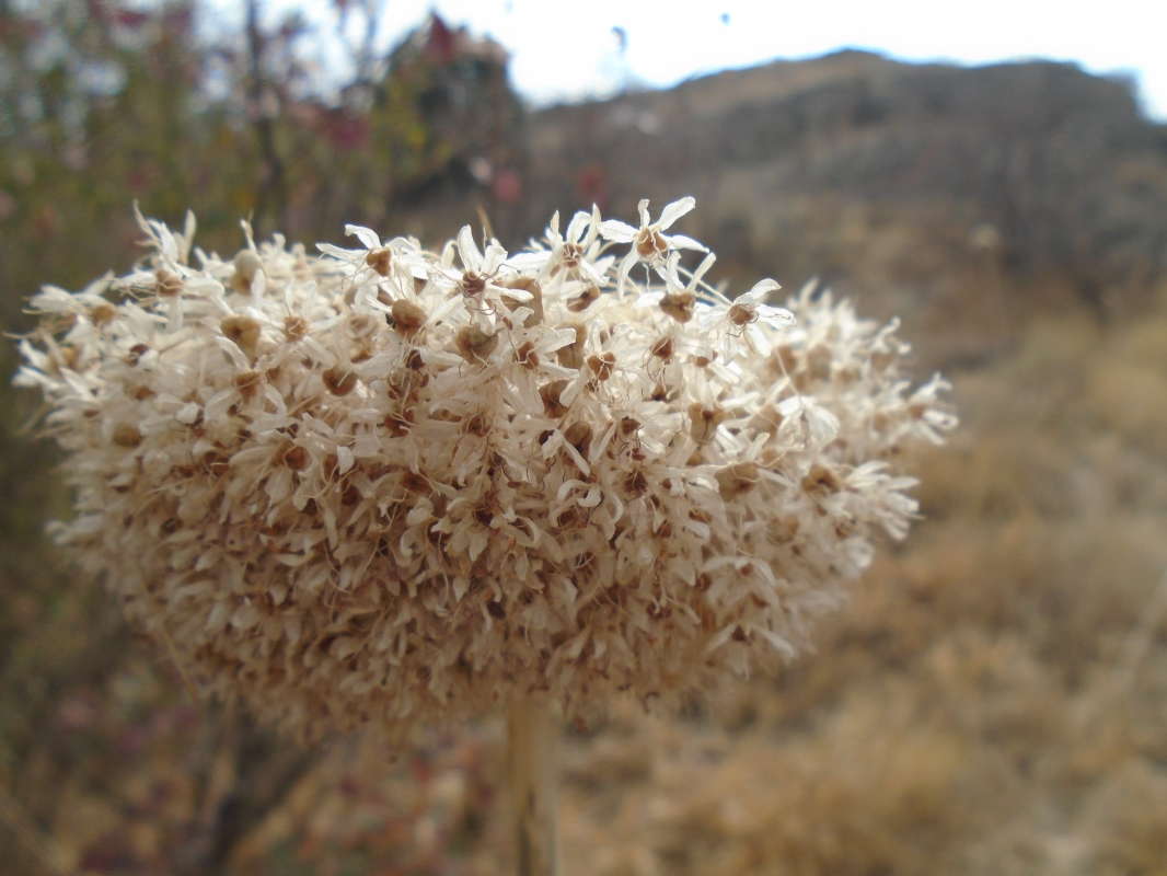 "������"... ����� �����������  �� PhotoGeek.ru #��������