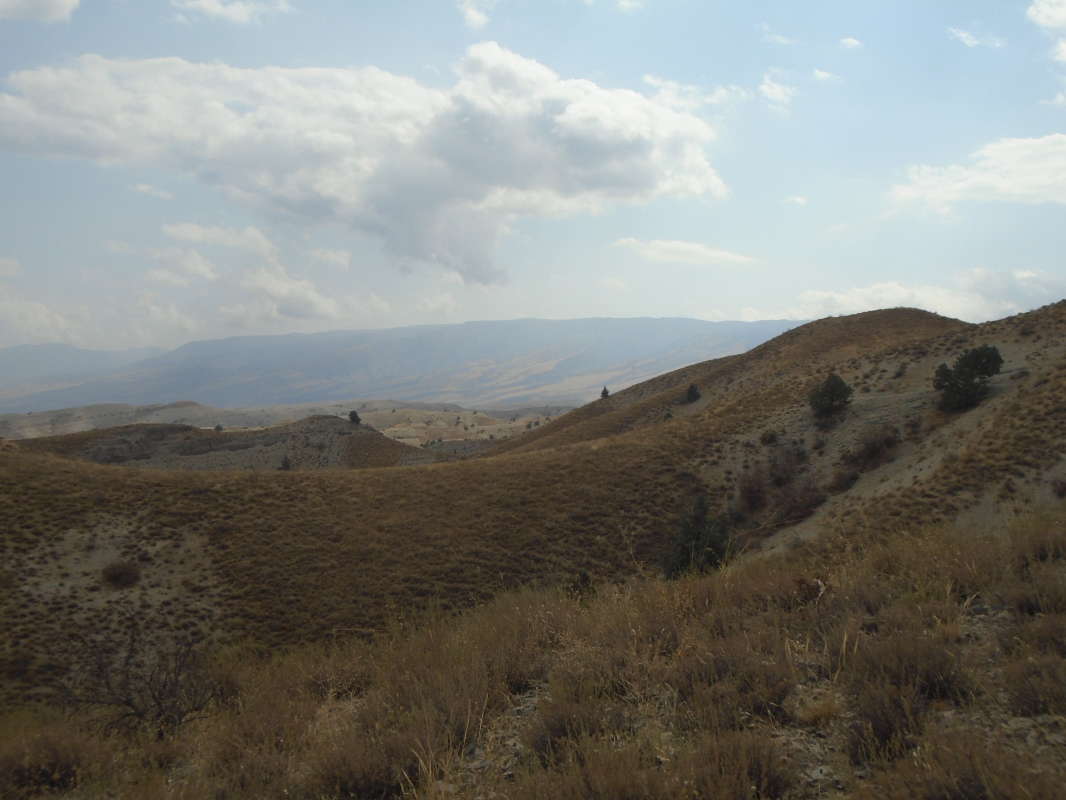 �����... ����� �����������  �� PhotoGeek.ru #��������