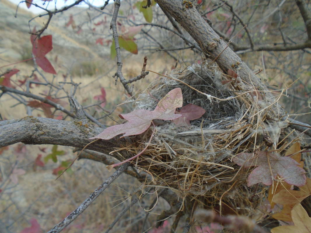 ���������.... ����� �����������  �� PhotoGeek.ru #��������